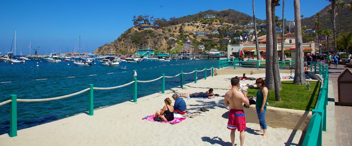 Catalina Island qui includes plage de sable, ville cĂŽtiĂšre et scĂšnes tropicales