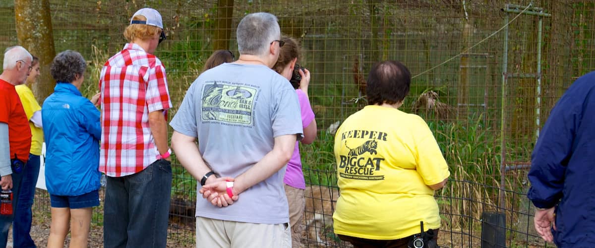 Big Cat Rescue showing zoo animals as well as a large group of people
