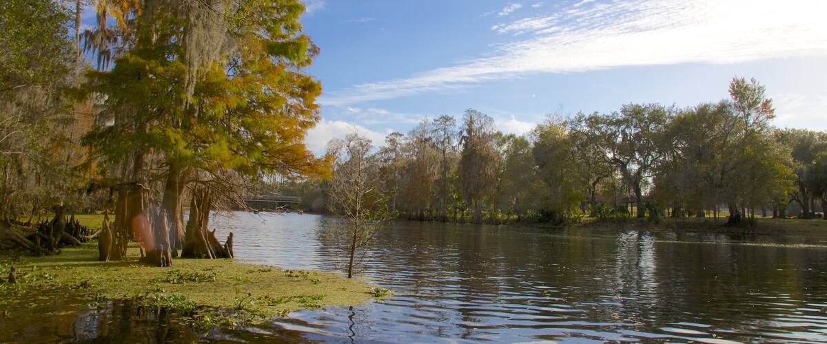 Lettuce Lake Park montrant jardin, panoramas et couleurs d\'automne