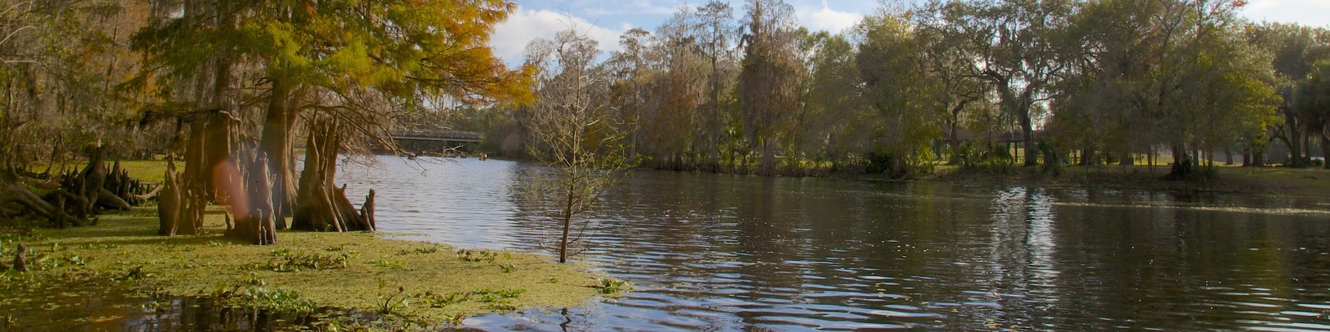 Lettuce Lake Park which includes autumn leaves, a garden and a lake or waterhole