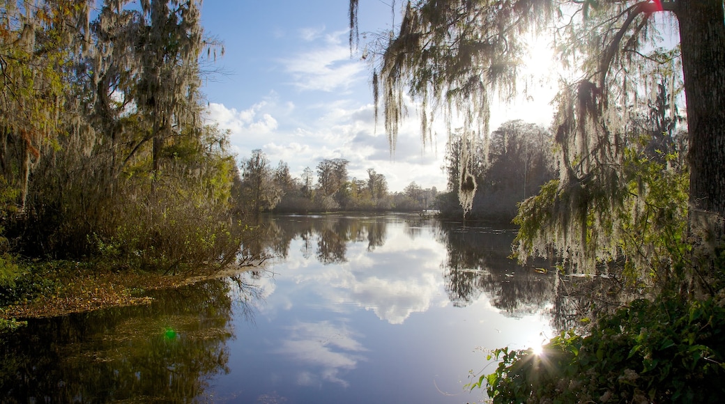 Lettuce Lake Park featuring forests, landscape views and a lake or waterhole