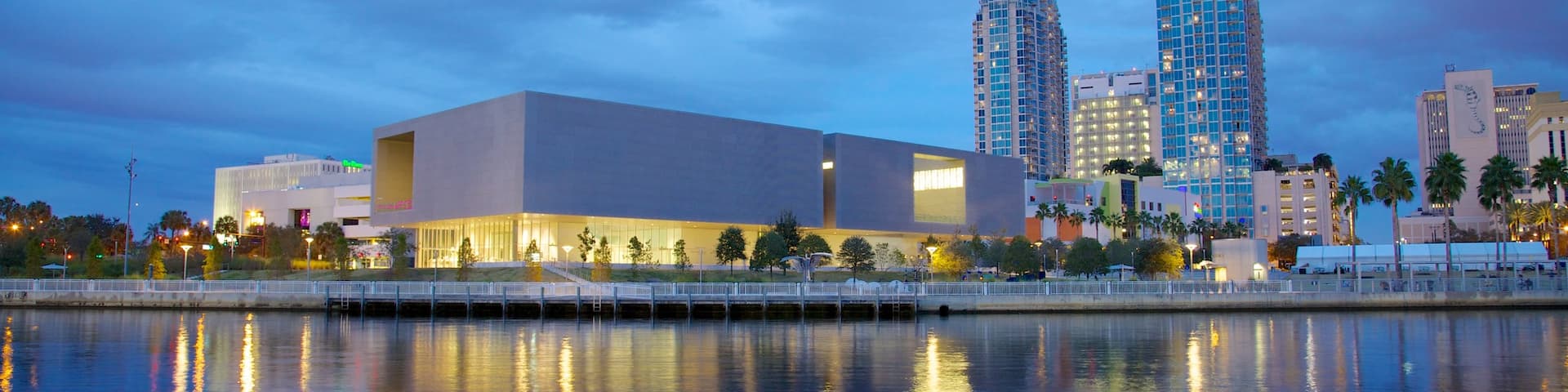 Tampa Museum of Art which includes a bay or harbour, a city and modern architecture