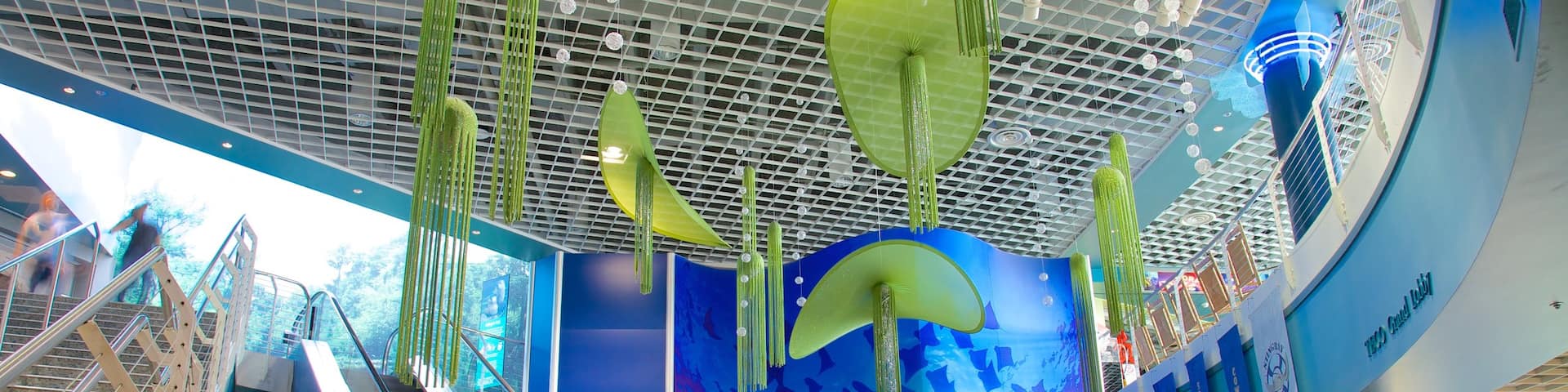 Florida Aquarium montrant vues intérieures et vie marine