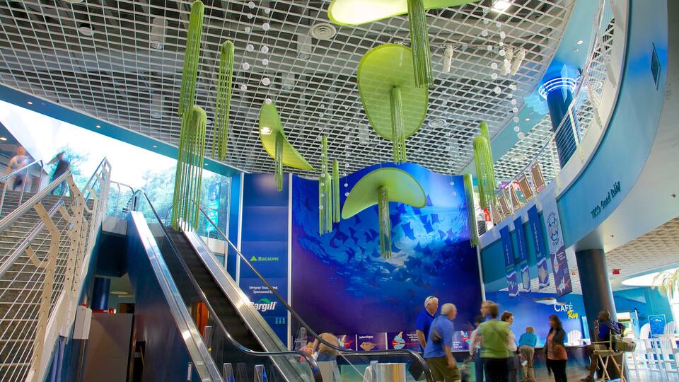 Florida Aquarium mostrando vida marina y vista interna