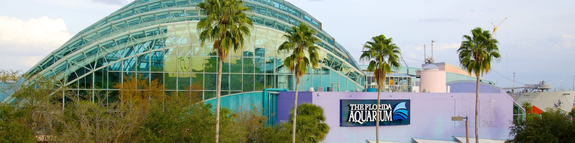 Florida Aquarium which includes marine life and modern architecture