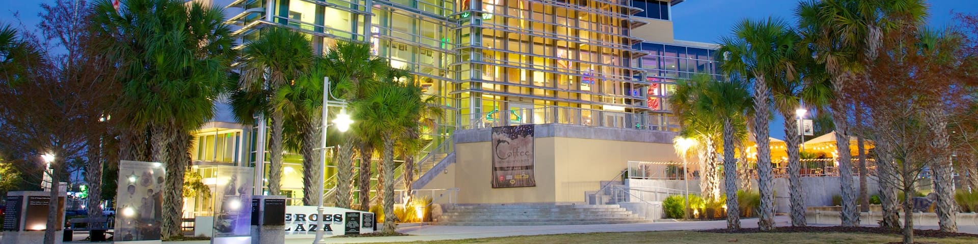 Tampa Bay History Center showing night scenes and a city