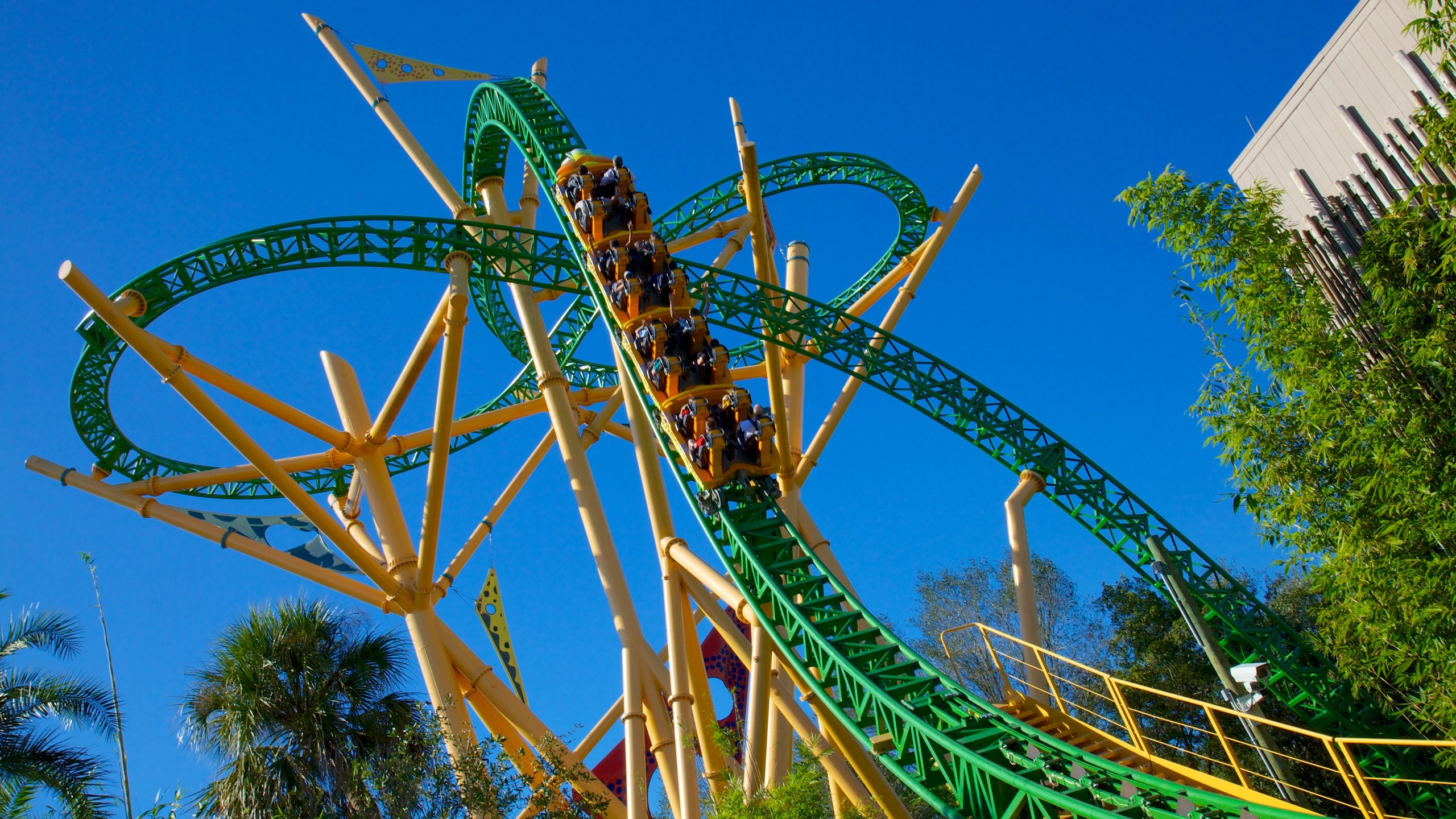 My Wild Adventure at Busch Gardens Tampa - Tripster Travel Guide