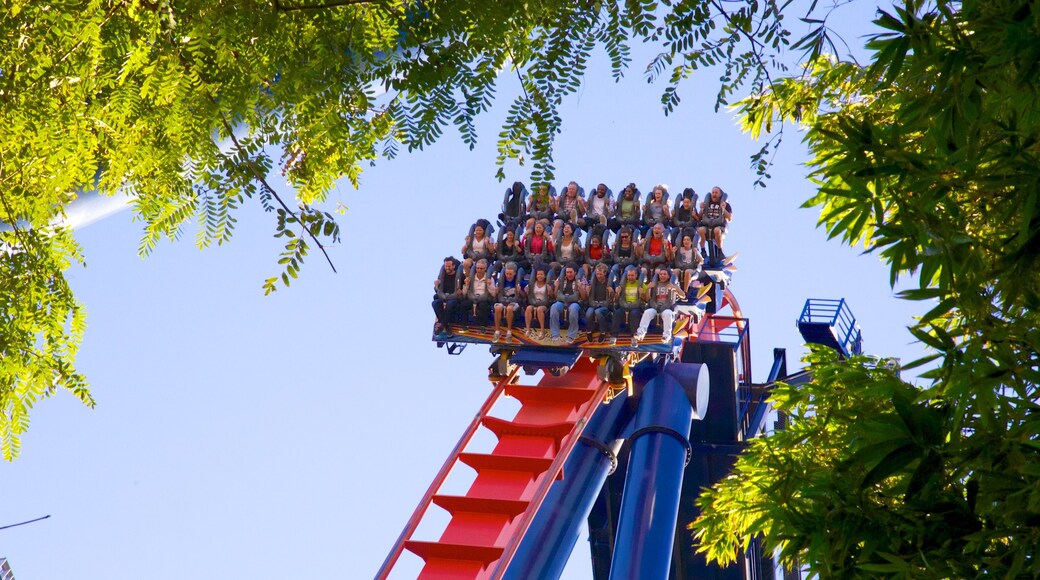 Busch Gardens showing rides