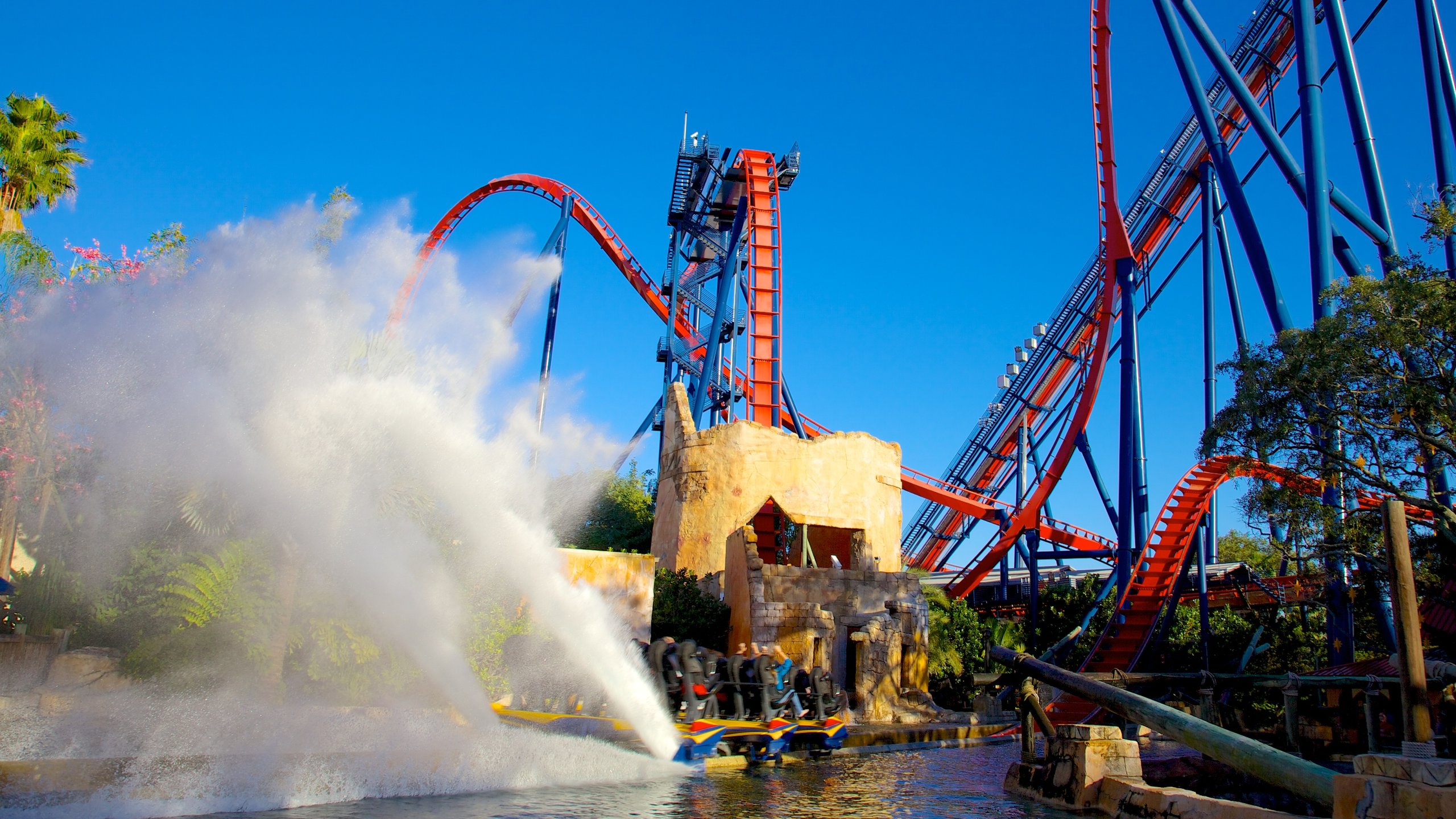 Busch Gardens Tampa Bay In Tampa Expedia Busch Gardens Tampa Bay In Tampa Expedia