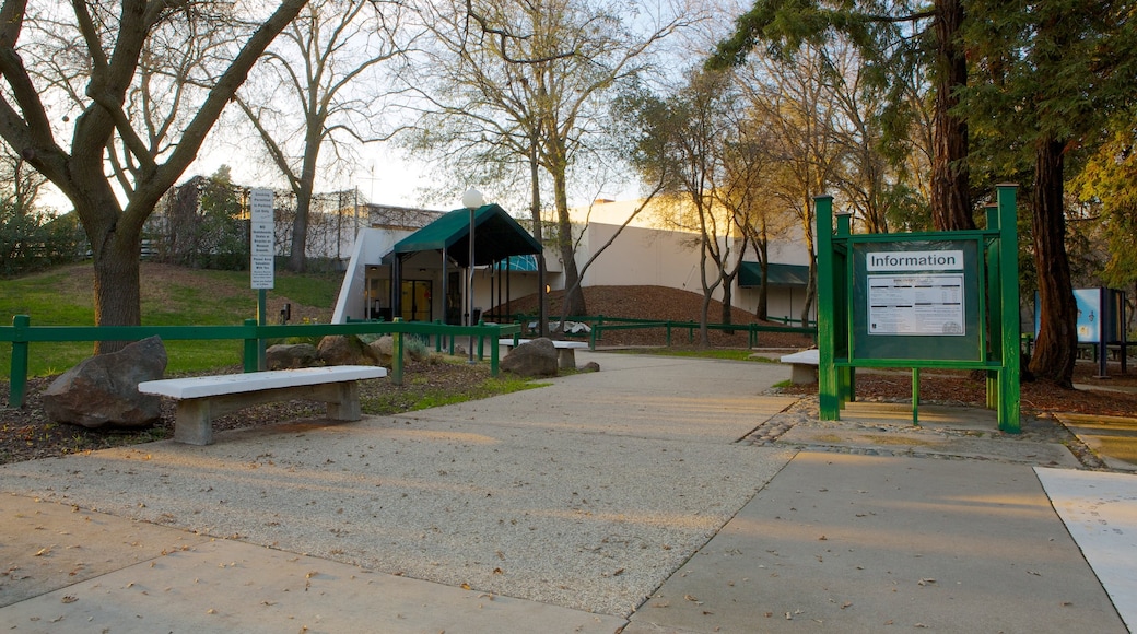 Discovery Museum Science and Space Center showing a sunset and autumn leaves