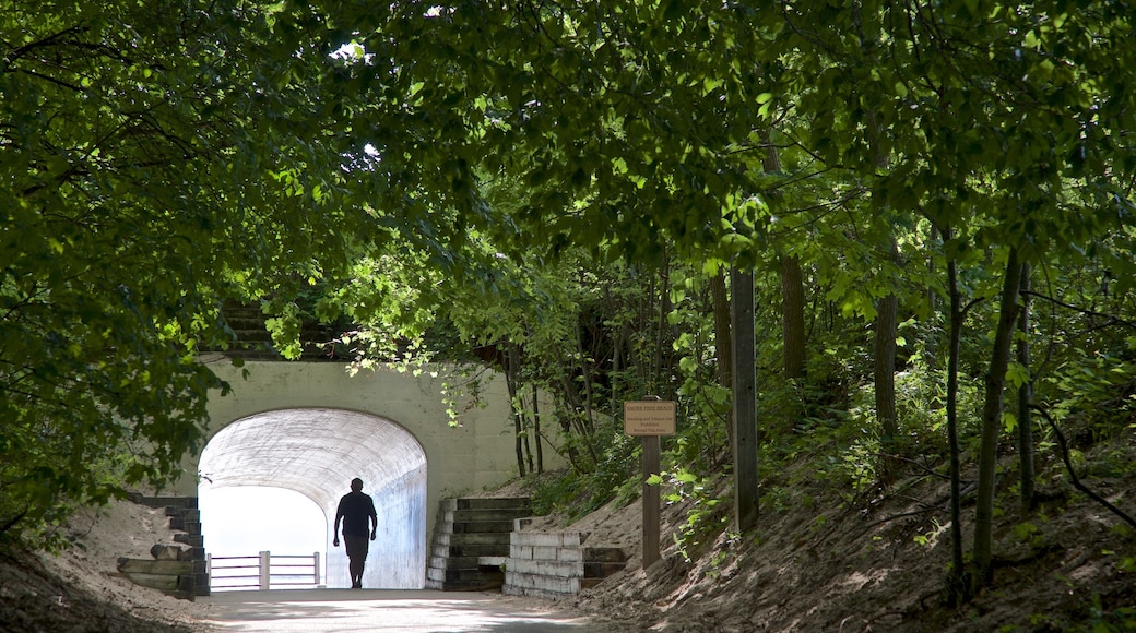 Tunnel Park fasiliteter samt hage i tillegg til en mann