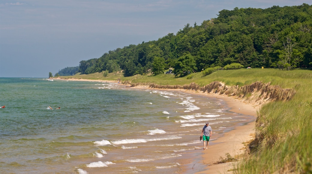 Muskegon State Park featuring general coastal views as well as an individual male