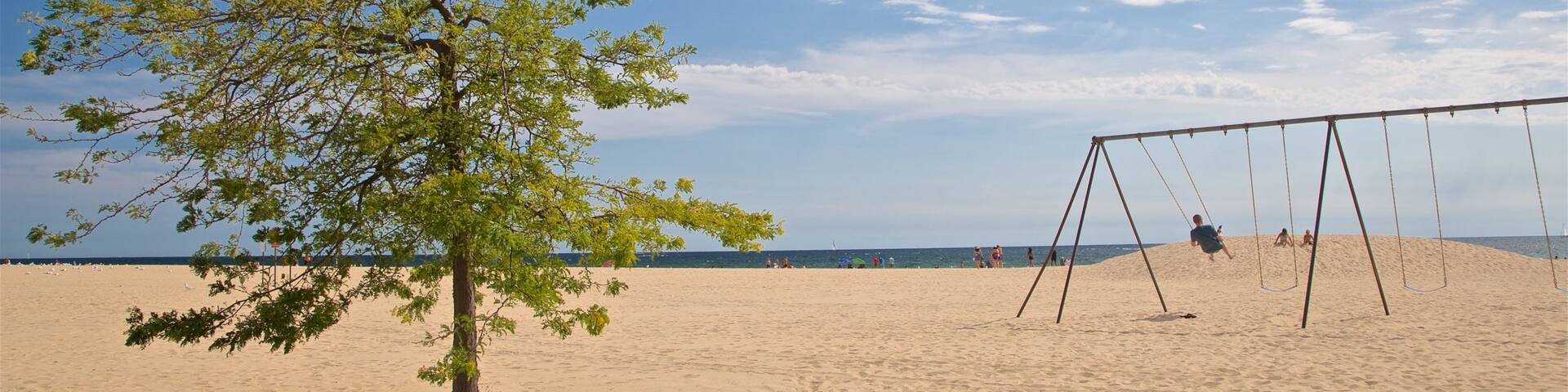 Pere Marquette Park Beach showing general coastal views and a sandy beach