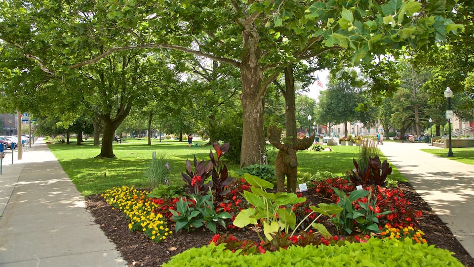 Kalamazoo welches beinhaltet Wildblumen und Park