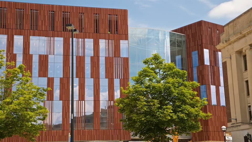 University of Michigan