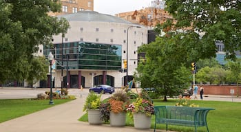 Kalamazoo showing a park and flowers