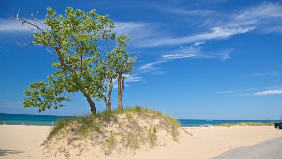 Muskegon State Park showing a sandy beach and general coastal views
