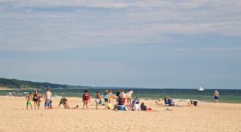 Strand van Pere Marquette-park toont een zandstrand en algemene kustgezichten en ook een klein groepje mensen