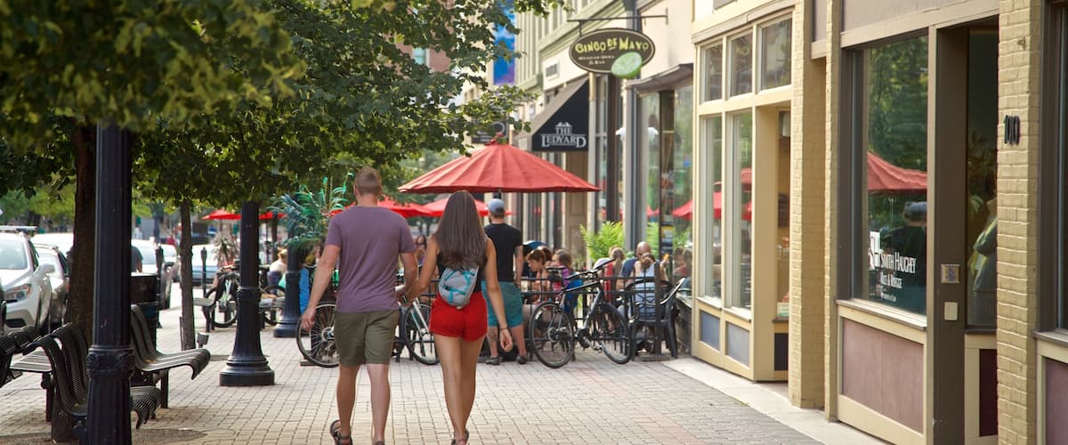 Grand Rapids which includes street scenes as well as a couple