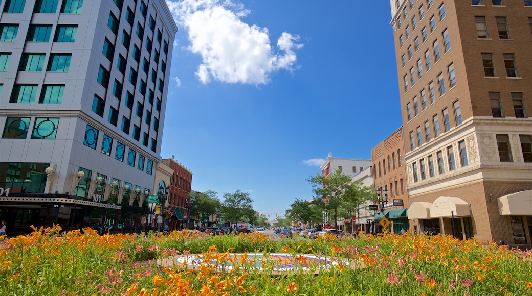 Lansing showing wildflowers