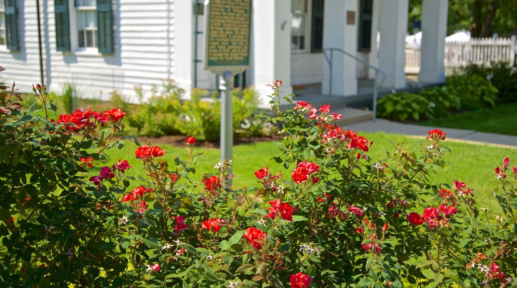 Kempf House which includes wildflowers