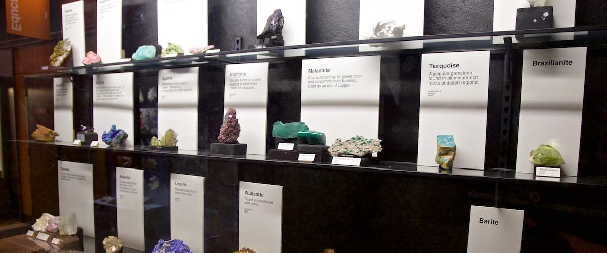 Exhibit Museum of Natural History at the University Of Michigan which includes interior views