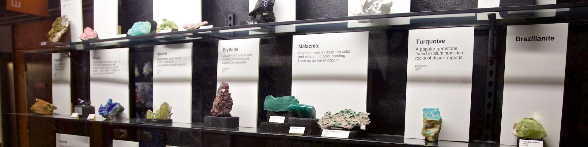 Exhibit Museum of Natural History at the University Of Michigan which includes interior views
