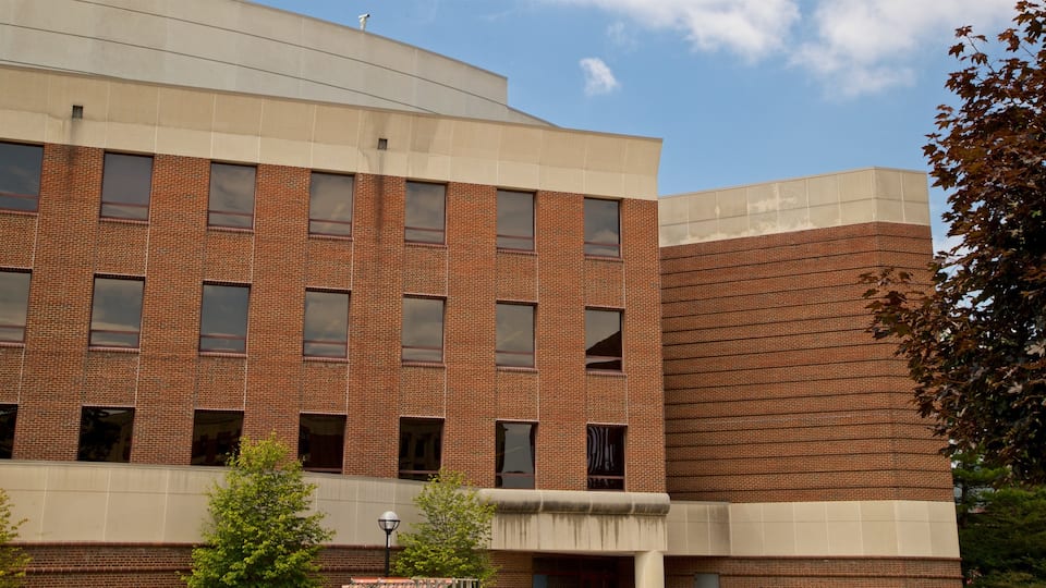 Universität Michigan