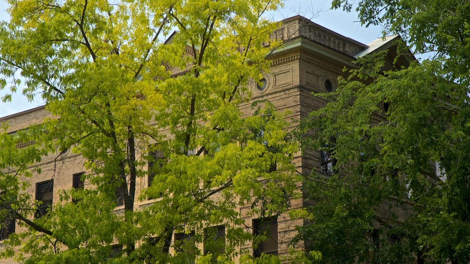 Universität Michigan