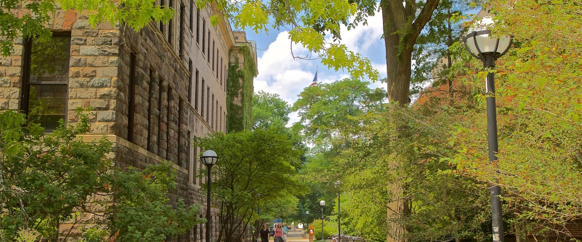 University of Michigan showing a park