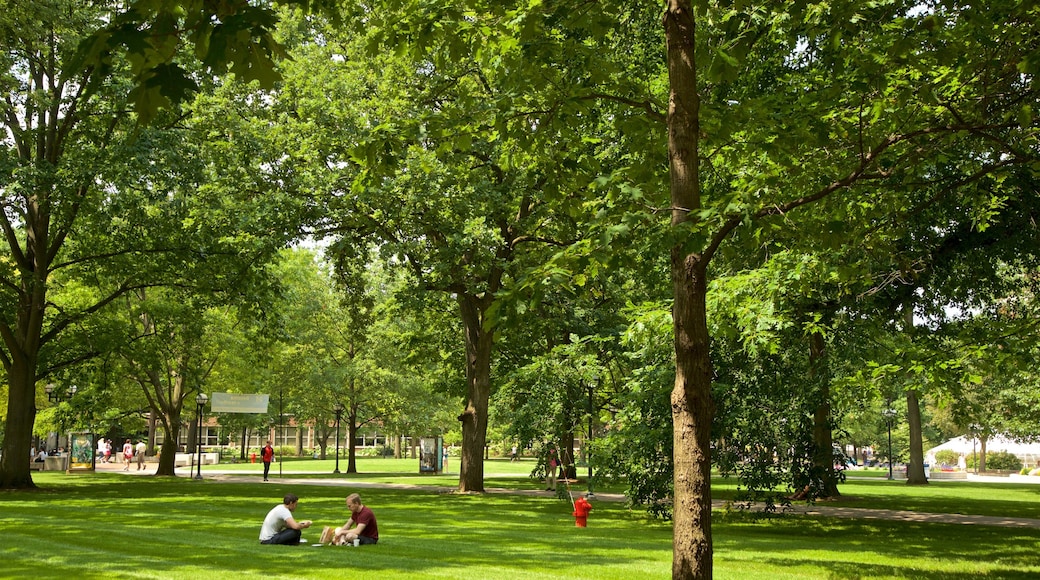 University of Michigan showing a park as well as a couple