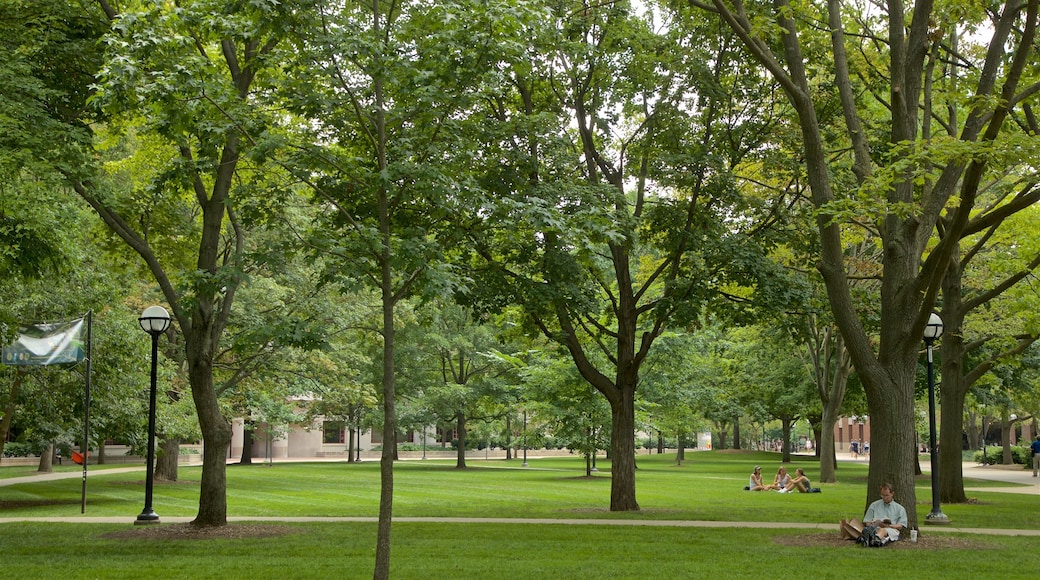 University of Michigan showing a garden as well as an individual male