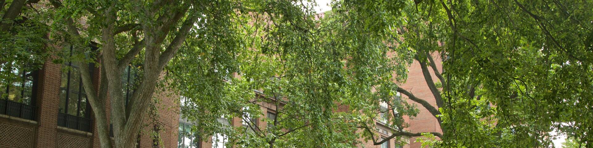 University of Michigan which includes a park