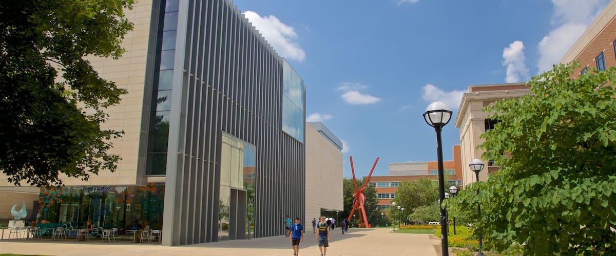 UniversitÀt Michigan