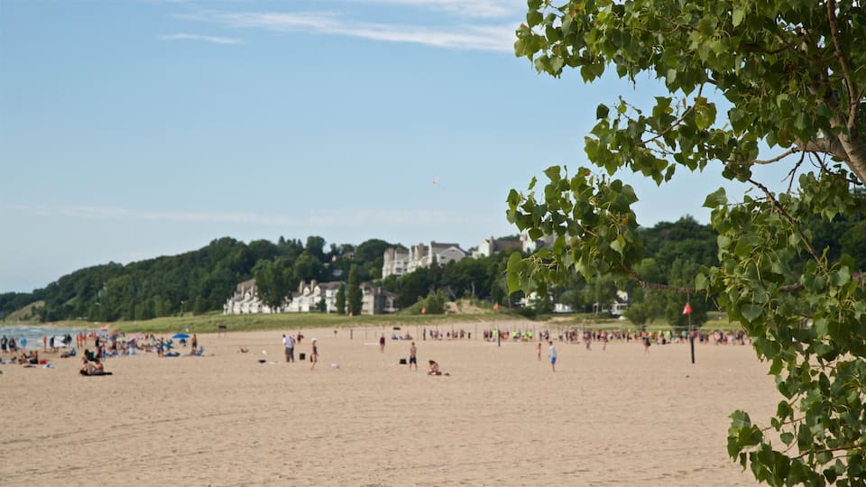 Holland State Park welches beinhaltet allgemeine Küstenansicht und Strand sowie große Menschengruppe