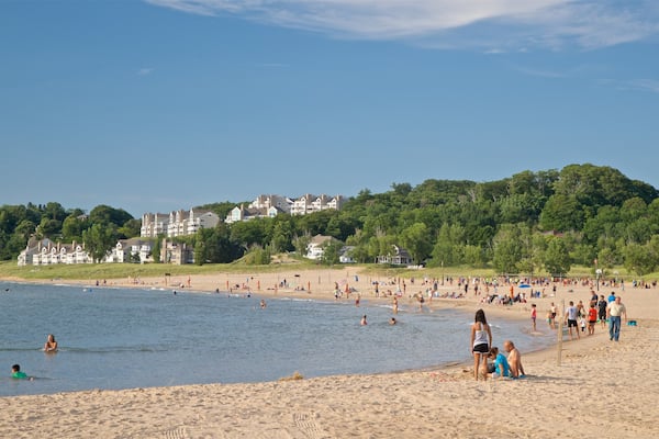 Holland State Park das einen allgemeine Küstenansicht und Sandstrand sowie große Menschengruppe
