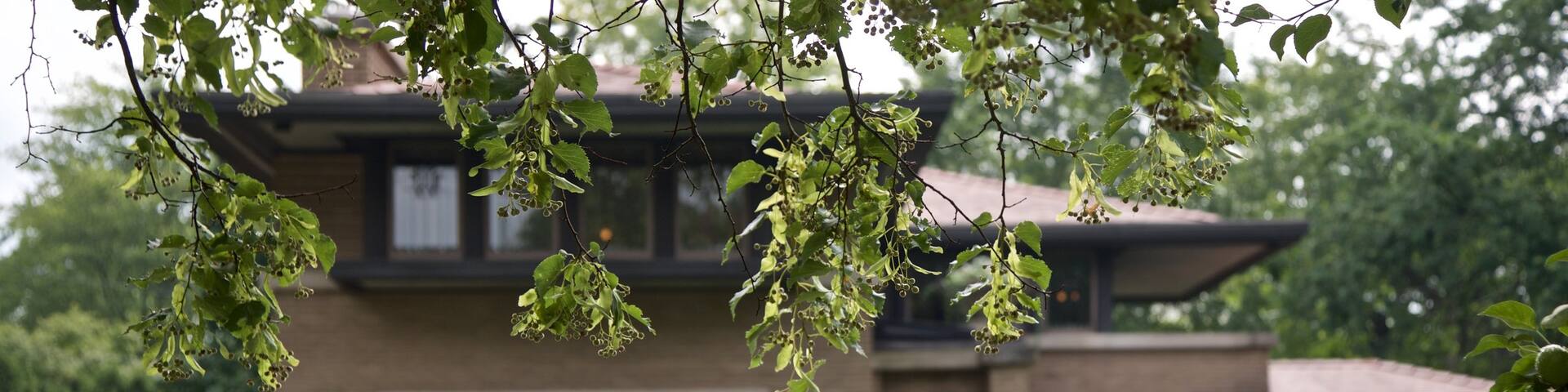 Meyer May House featuring street scenes as well as a small group of people