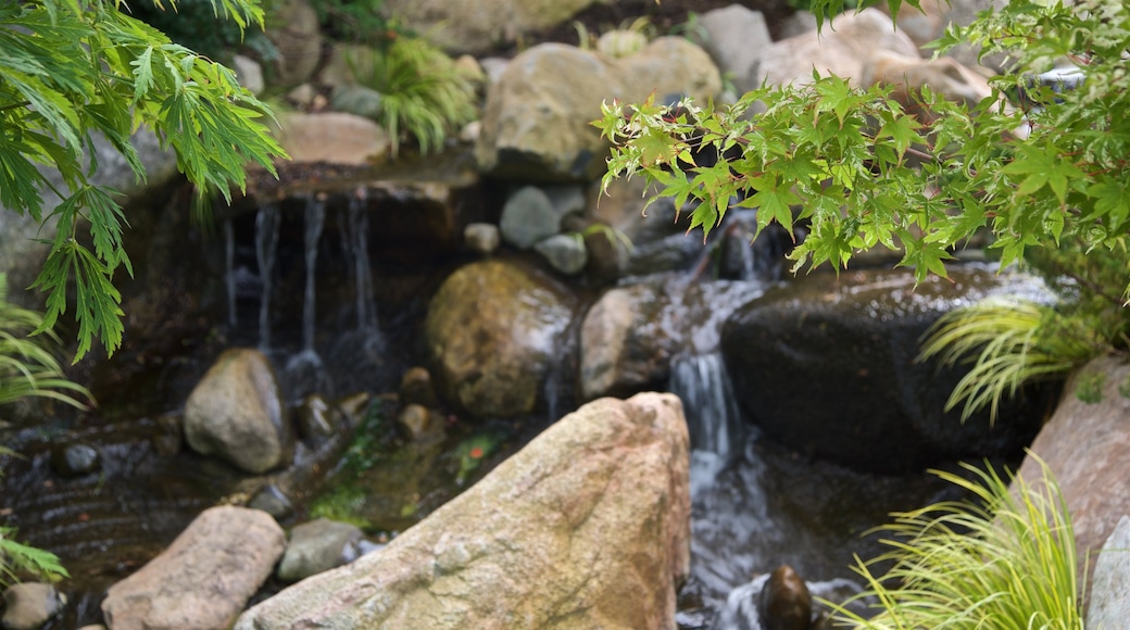 Frederik Meijer Gardens and Sculpture Park showing a cascade