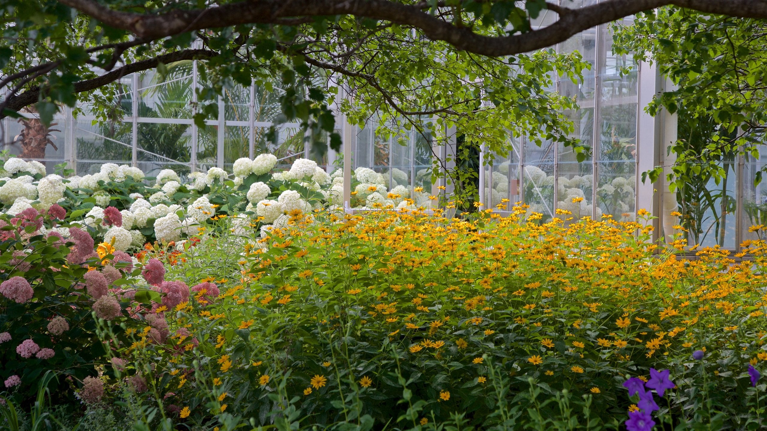 Frederik Meijer Gardens and Sculpture Park Tours Book Now Expedia