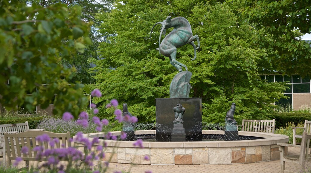 Frederik Meijer Gardens and Sculpture Park featuring a fountain and wildflowers