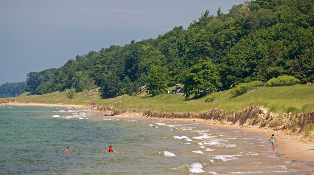 Muskegon State Park showing general coastal views, a beach and swimming