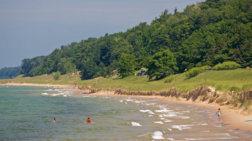 Muskegon State Park which includes swimming, general coastal views and a beach