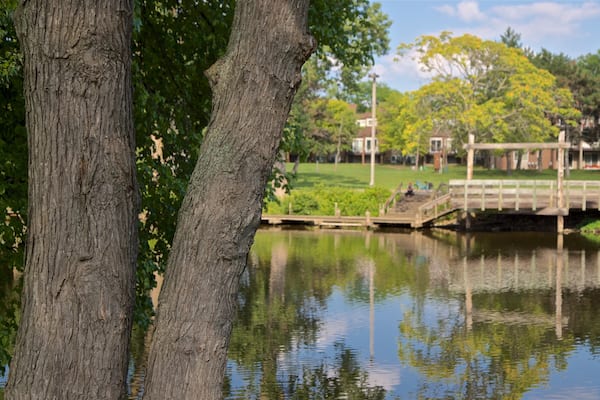 Adado Riverfront Park showing a lake or waterhole