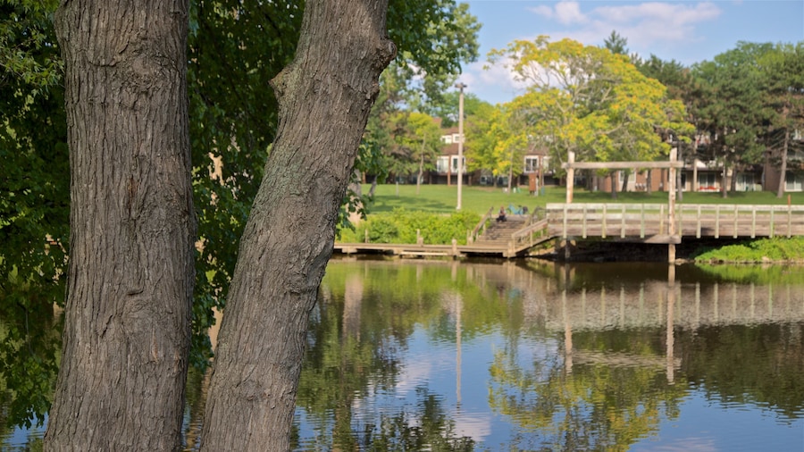 Adado Riverfront Park montrant lac ou étang