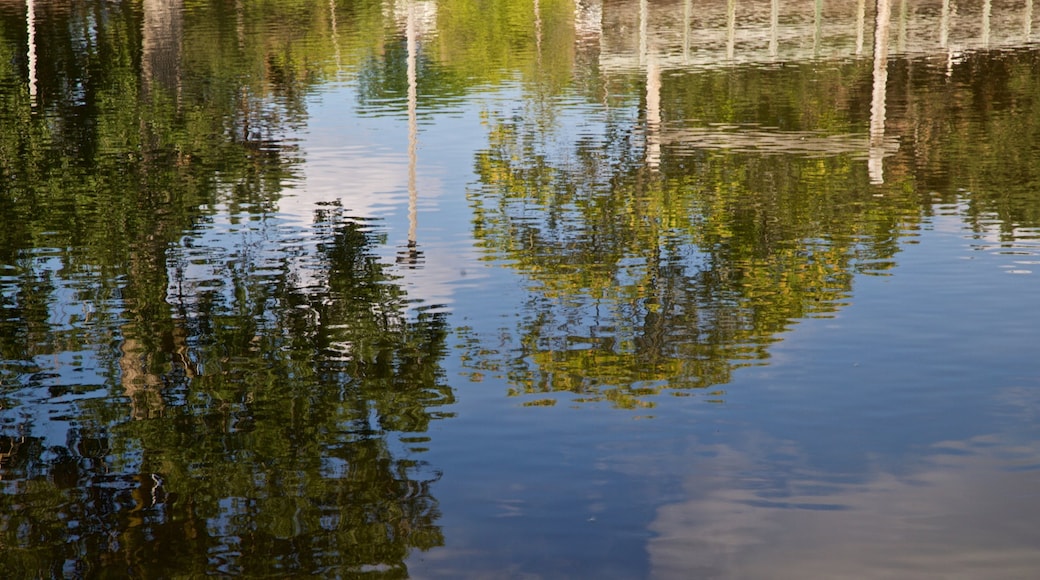 Adado Riverfront Park showing a lake or waterhole