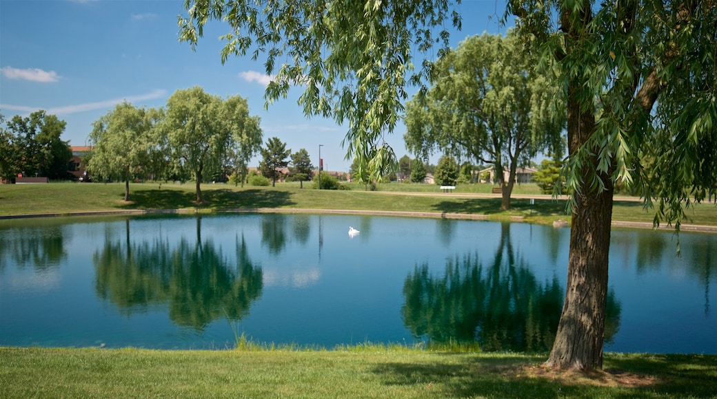 Marshall M. Fredericks Sculpture Museum showing a lake or waterhole