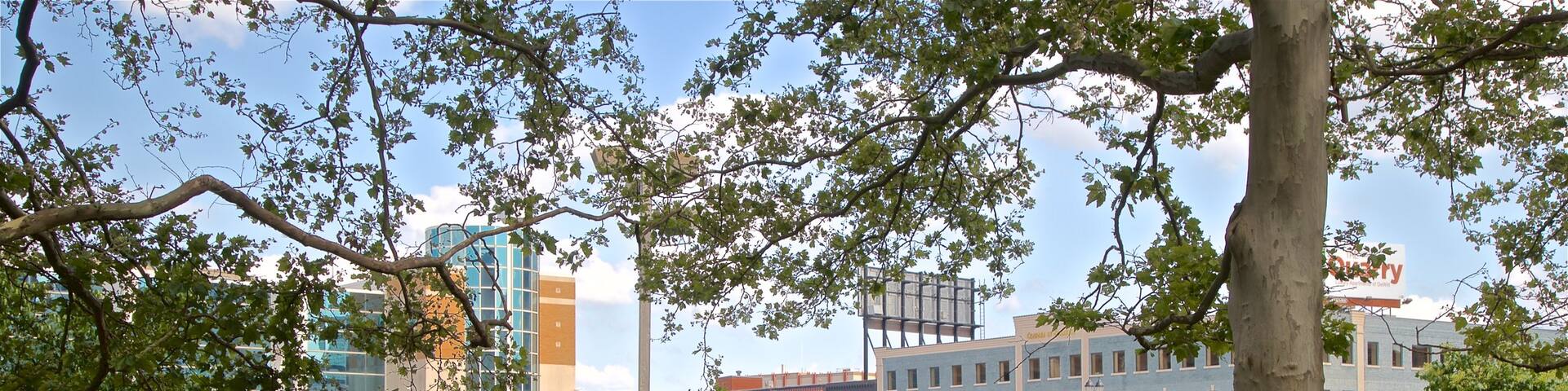 Wentworth Park featuring a city, a bridge and a garden