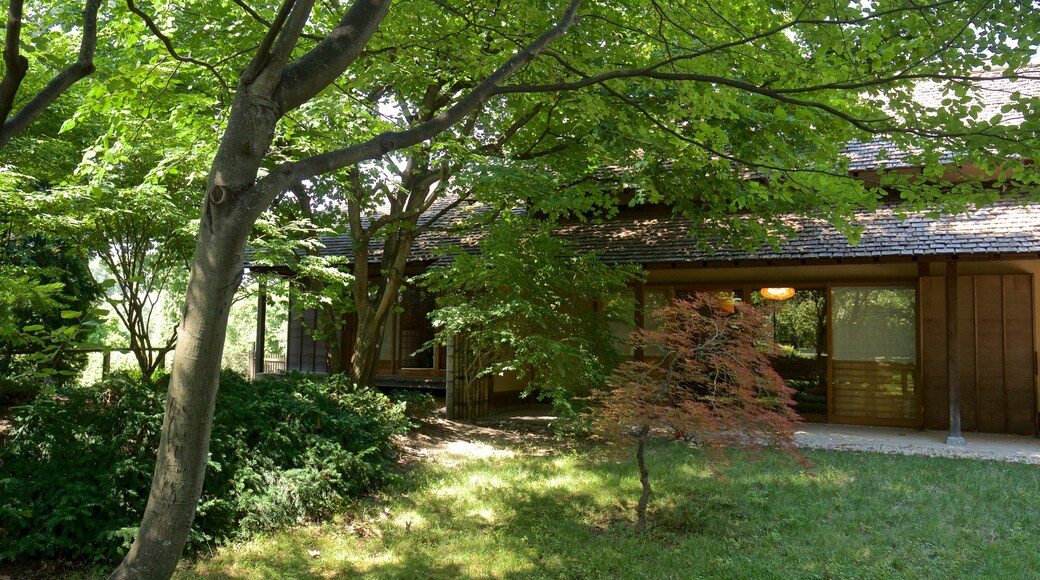 Japanese Cultural Center featuring a garden