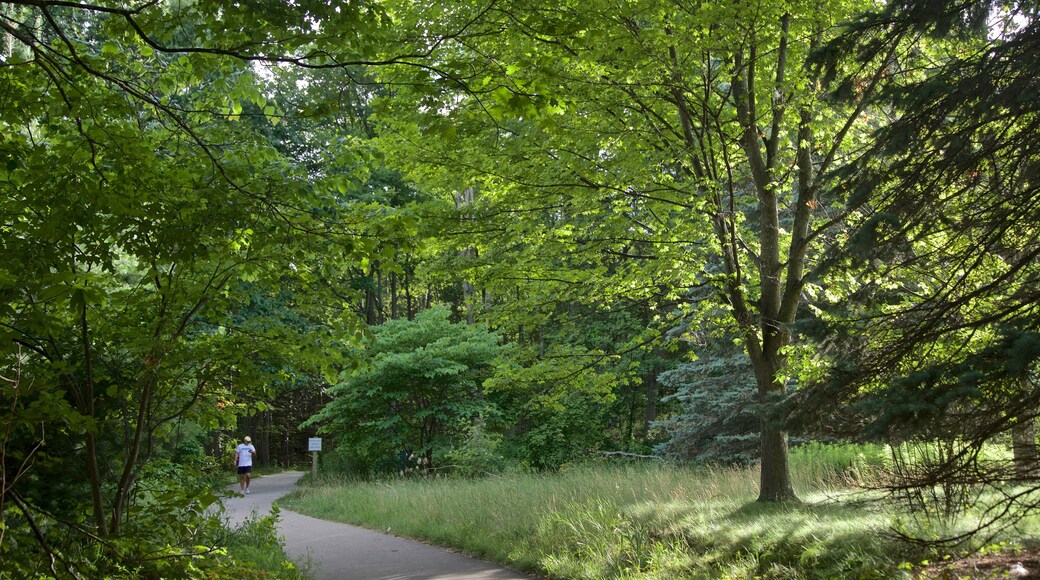 Mt. Pisgah Dune Boardwalk som inkluderar en park