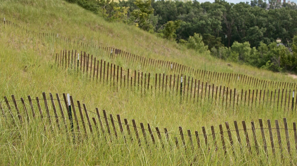 ทางเดินไม้กระดาน Mt. Pisgah Dune แสดง ทิวทัศน์ที่เงียบสงบ